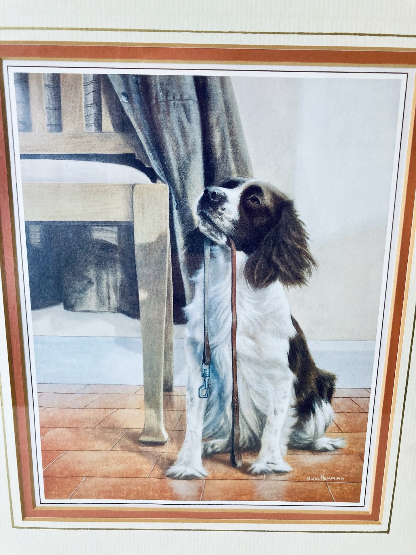 Vintage Nigel Hemming Springer Spaniel Print: Framed Artwork